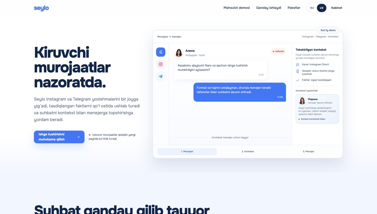 Seylo public website preview